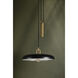 Plummet LED 18 inch Patina Brass/Soft Black Pendant Ceiling Light