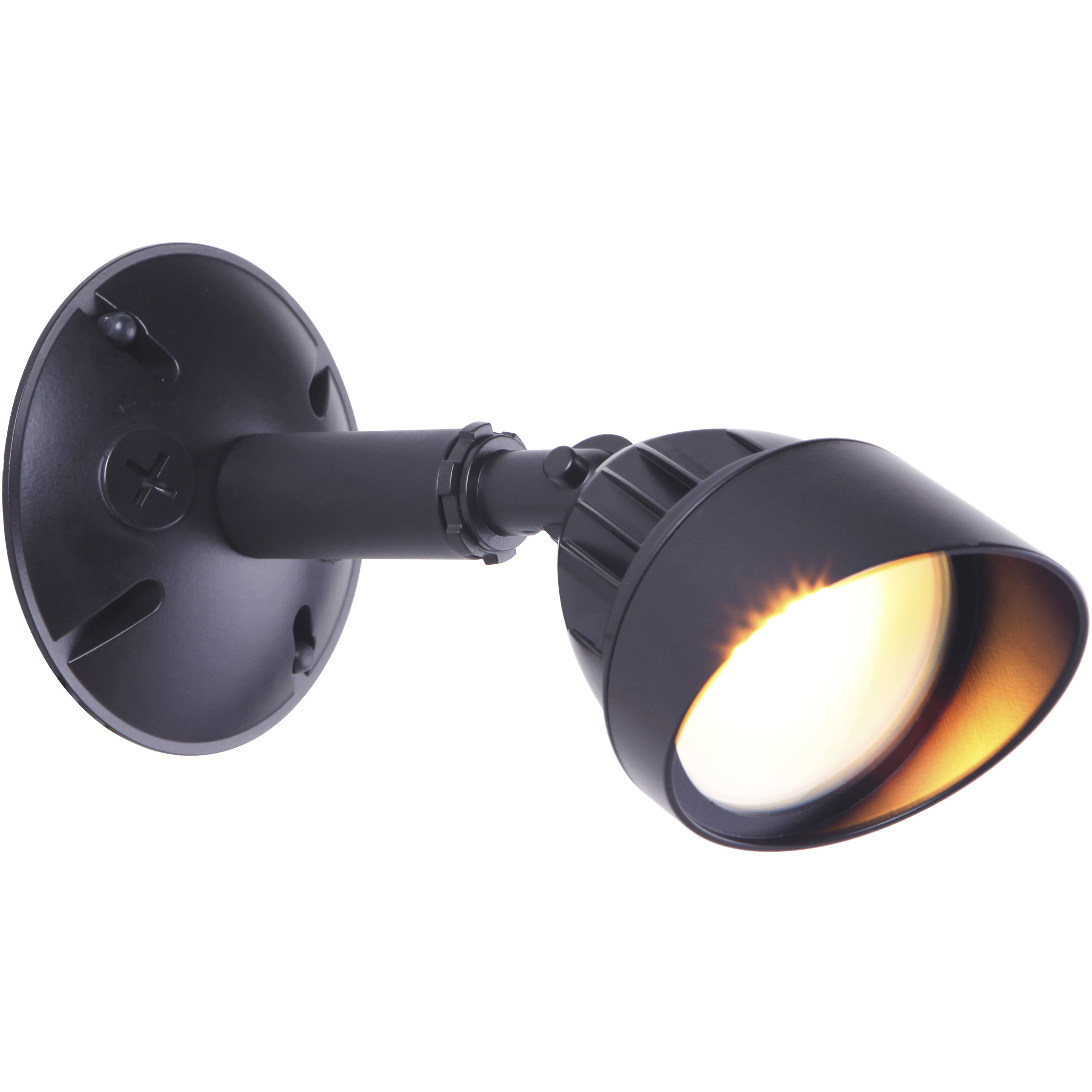 Bejamin LED Midnight Outdoor Flood