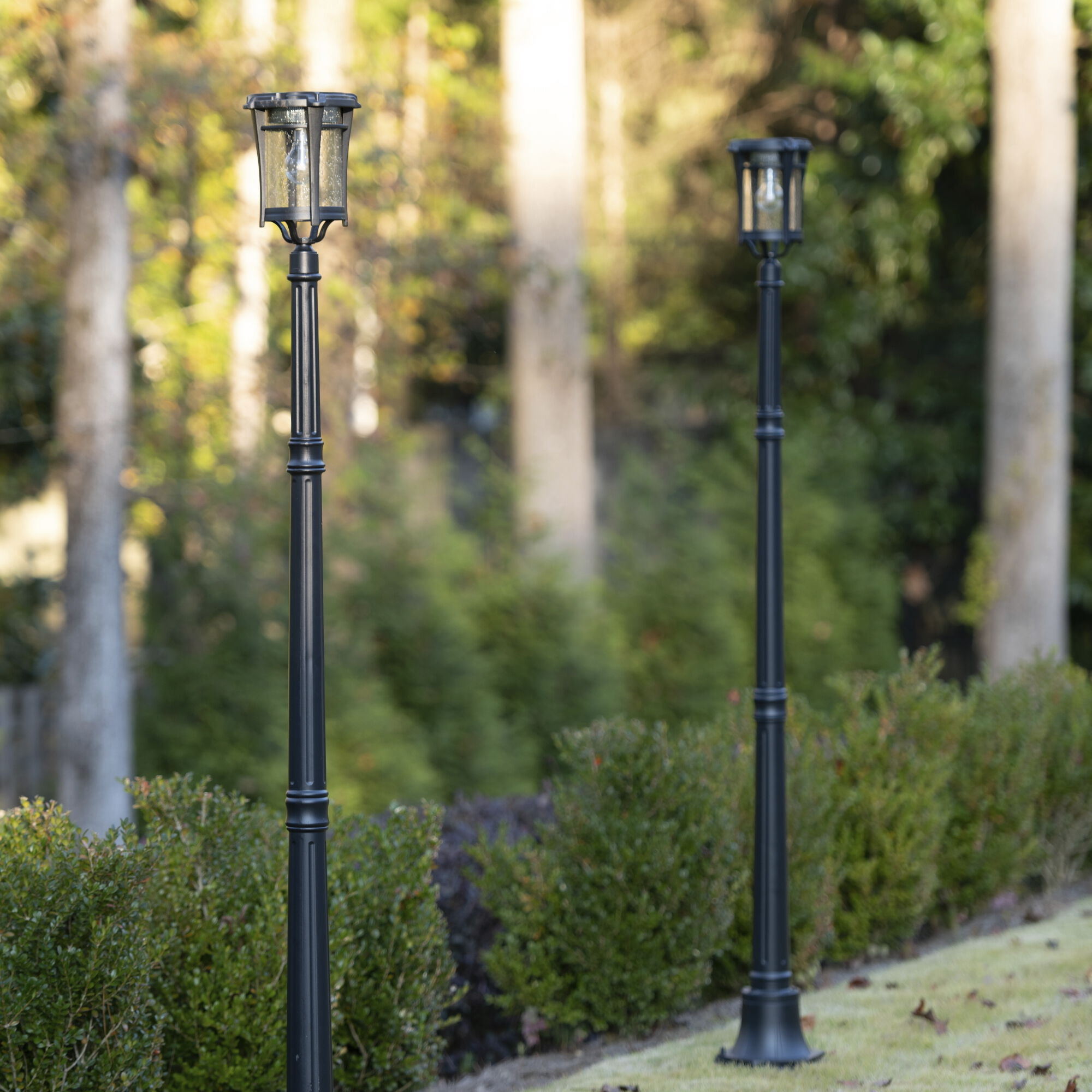 Aurora outdoor lights online