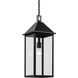 Prin 1 Light 9 inch Black Outdoor Hanging Pendant