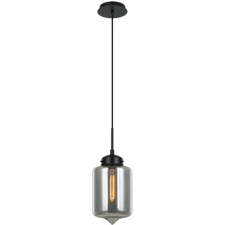 Irresistible Organic Charm 1 Light 7.13 inch Smoke Pendant Ceiling Light
