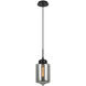 Irresistible Organic Charm 1 Light 7.13 inch Smoke Pendant Ceiling Light