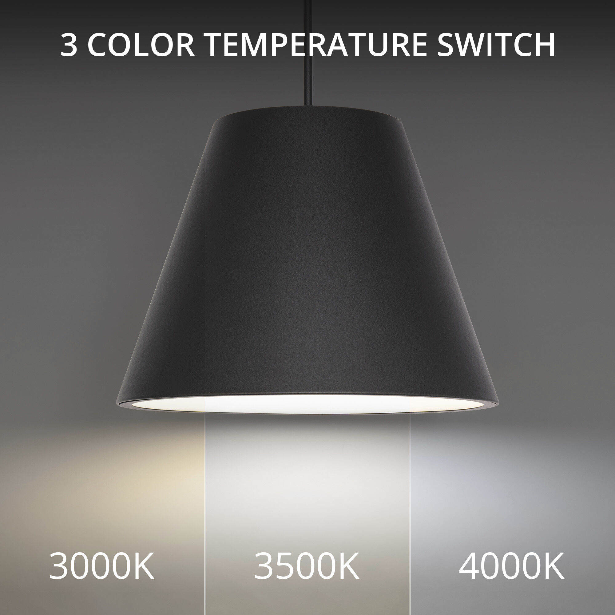 Myla 1 Light 20 inch Black Outdoor Pendant in 3500K