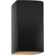 Ambiance 1 Light 5.25 inch Carbon Matte Black/Champagne Gold Wall Sconce Wall Light