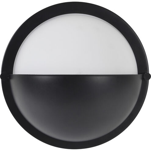 Raina 1 Light 7.75 inch Matte Black Wall Sconce Wall Light