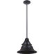 Union LED 12 inch Midnight Pendant Ceiling Light