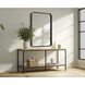 Remy 30 X 22 inch Black Mirror