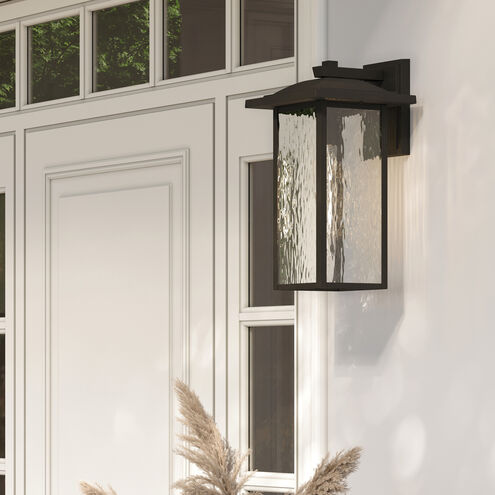 Capanna 1 Light 20 inch Olde Bronze Outdoor Wall Light