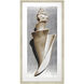 Modern Shell Sepia and Metallic and Neutral Framed Art