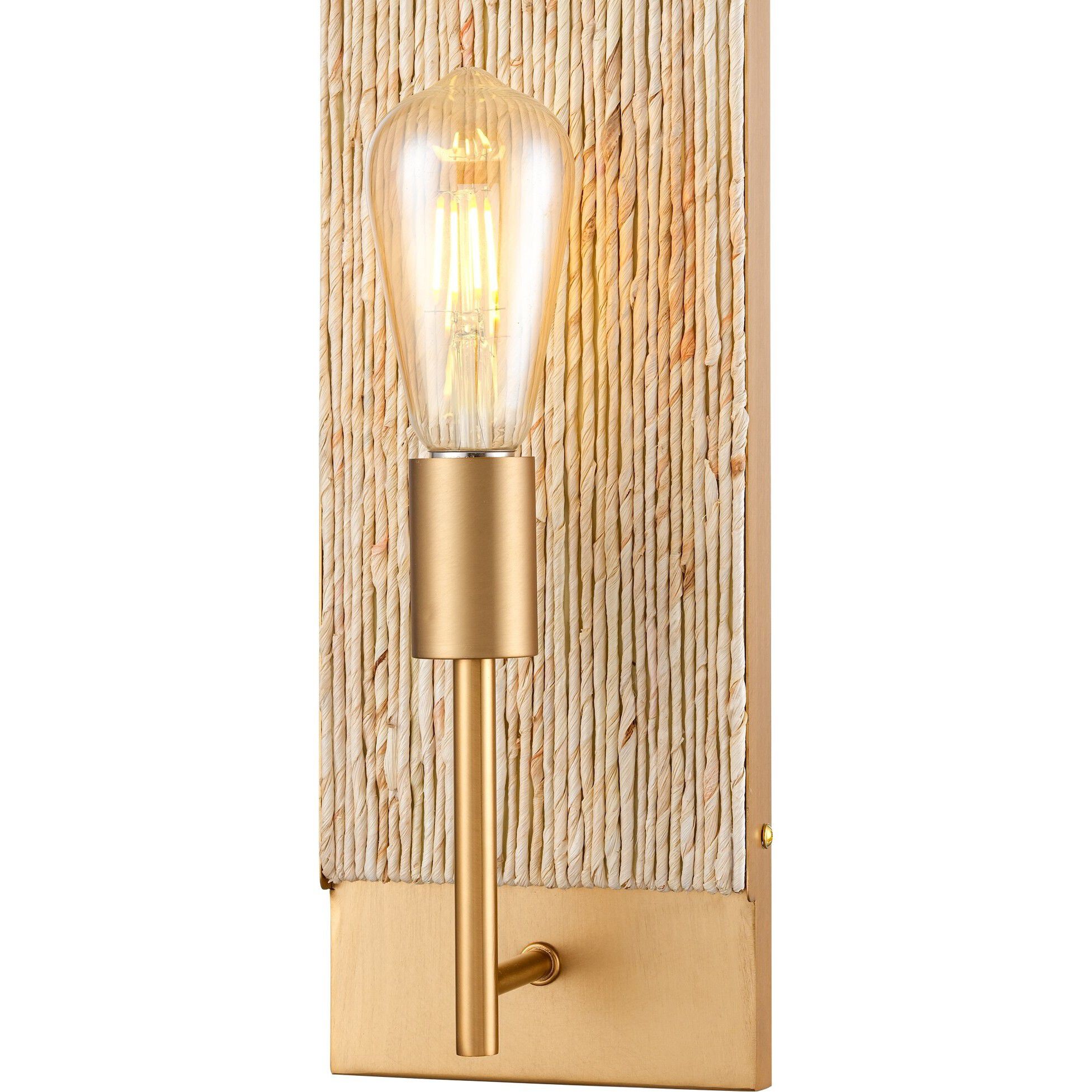 Copa Sconce Wall Light