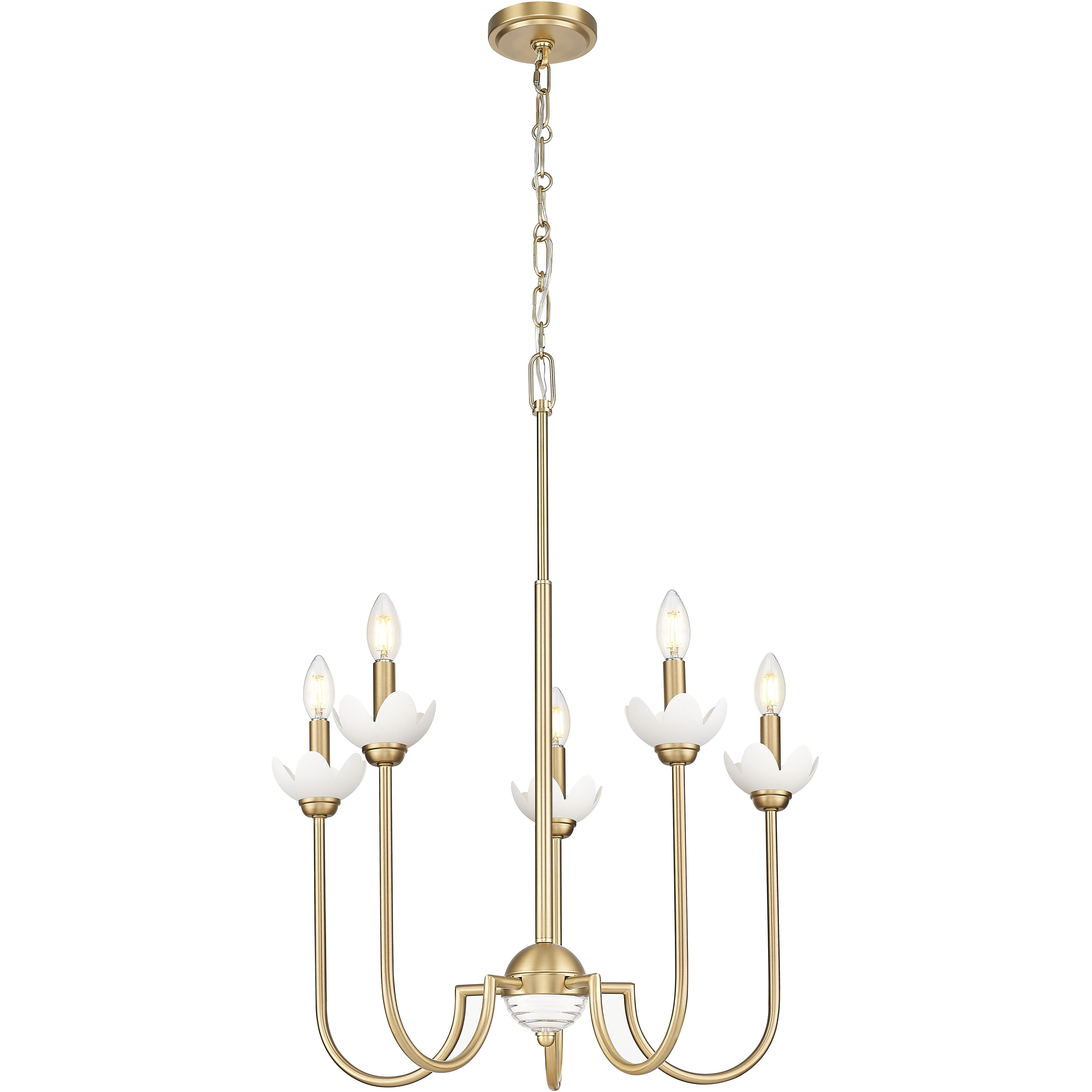 Allistair 5 Light 24 inch Modern Gold Chandelier Ceiling Light