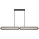 Neoness LED 67 inch Matte Black Linear Chandelier Ceiling Light in Smoke