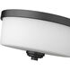 Arlington 2 Light 12.25 inch Matte Black Flush Mount Ceiling Light