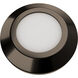 Surface Mounted Indicator Light 12 2.8 watt Stainless Steel Coated in Bronze Path Indicator Light in 3000K Warm White LED, WAC Landscape