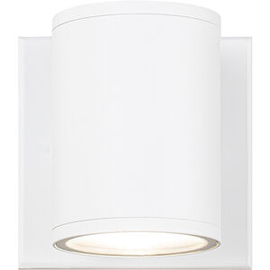 Tubular 1 Light 4.25 inch Outdoor Wall Light