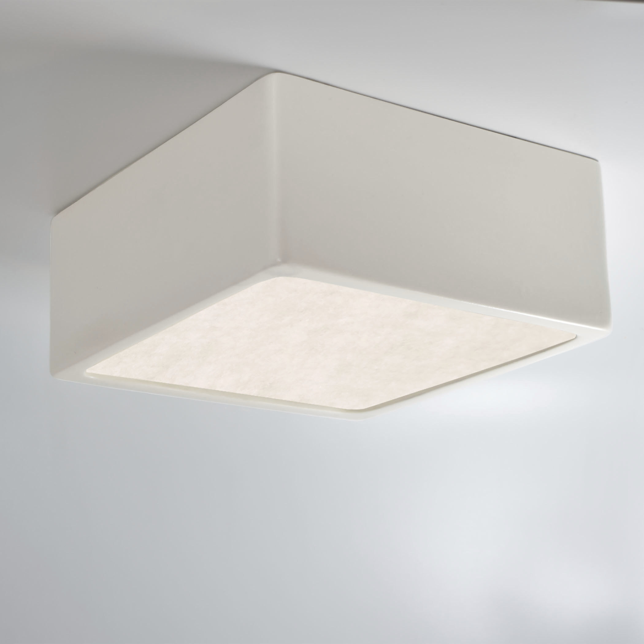 Radiance Collection LED 8 inch Midnight Sky Outdoor Flush-Mount