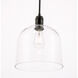 Codorus 1 Light 10 inch Black Pendant Ceiling Light