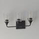 Hudson 3 Light 20.5 inch Black Bath Vanity Wall Light in Clear