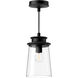 Alora Mood Quincy 1 Light 6 inch Clear Bubble Glass/Textured Black Exterior Pendant