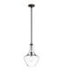 Everly 1 Light 11 inch Olde Bronze Pendant Ceiling Light in Clear