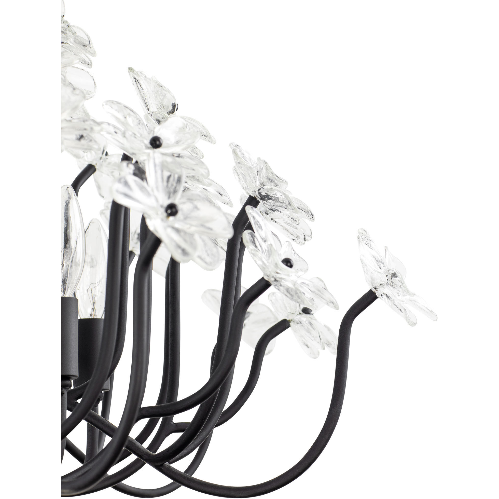 Wildflower 8 Light 32 inch Matte Black Chandelier Ceiling Light, Smithsonian Collaboration