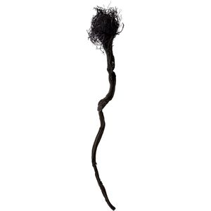 Long Kelp Root Black Ornamental Accessory
