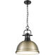 Yep Duncan 1 Light 14 inch Matte Black Pendant Ceiling Light in Aged Brass, Large