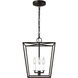 ED Ellen DeGeneres Viota 3 Light 12 inch Aged Iron Pendant Ceiling Light