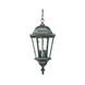 Telfair 2 Light 9.5 inch Black Coral Exterior Hanging Lantern