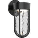 Davy LED 10.63 inch Black Outdoor Wall Light