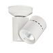 Exterminator II 1 Light 4.50 inch Flush Mount