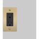 1G Duplex 125 Brass Outlet