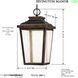 Irvington Manor LED 8.5 inch Chelesa Bronze Outdoor Chain Hung Lantern in Clear Seeded Glass, The Great Outdoors