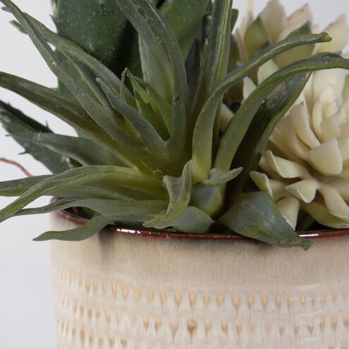 Seaside Succulents Green with Neutral Tan Glaze Succulents, Set of 2