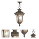 Oxford 3 Light 11 inch Imperial Bronze Outdoor Pendant Lantern
