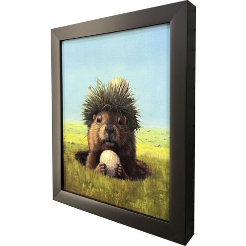 Ball Hog No. 2 11 X 9 inch Non-Glass Framed Art