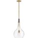 Ziggy 1 Light 12 inch Heritage Brass with Black Indoor Pendant Ceiling Light in Clear