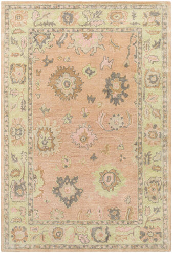 Malatya 66 X 42 inch Dusty Coral Rug in 4 X 6, Rectangle