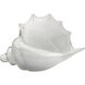 Triton 6.00 inch  X 9.00 inch Decorative Object & Figurine
