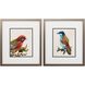 Florals Collection Orange Framed Art