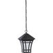 Herrington 1 Light 7.25 inch Black Outdoor Pendant