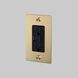 1G Duplex 125 Brass Outlet, USB A + C