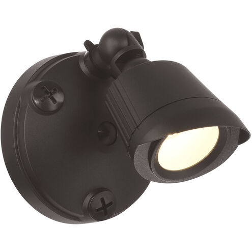 Stella Outdoor Flood Light in Bronze, Essentials