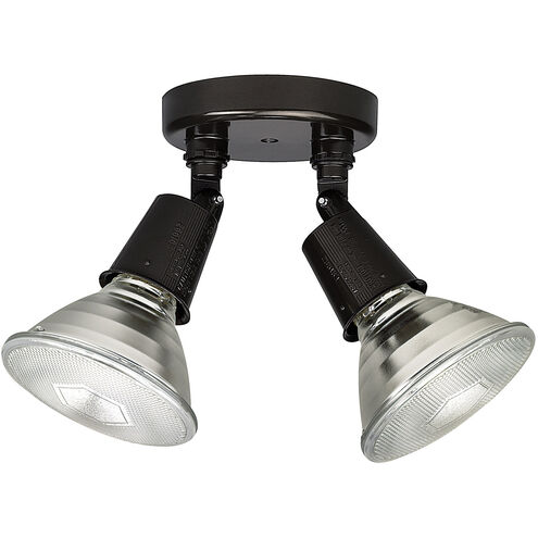 Outdoor 2 Light 4 inch Rich Bronze Outdoor Flood Light