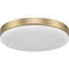 Mondo LED Satin Brass Light Kit