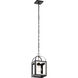 Vath 1 Light 8 inch Black Indoor Lantern Pendants Ceiling Light