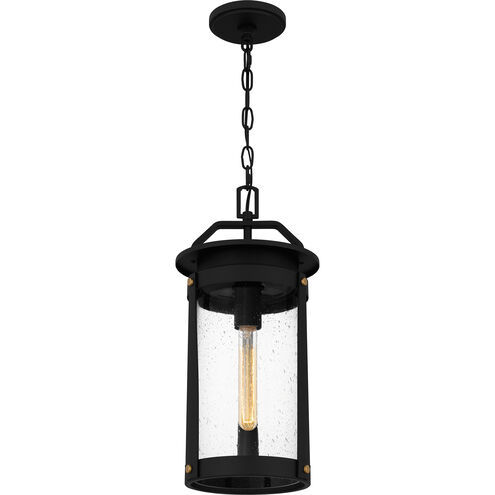 Clifton 1 Light 9 inch Earth Black Outdoor Hanging Lantern