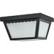 Brentwood LED 9 inch Black Outdoor Flush Mount