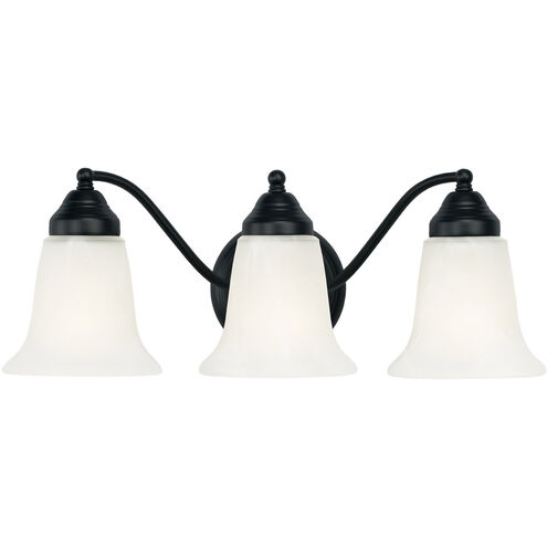 Brady 3 Light 19 inch Matte Black Vanity Light Wall Light