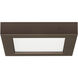Heartland LED 5.5 inch Bronze Flush Mount Ceiling Light, BLINK